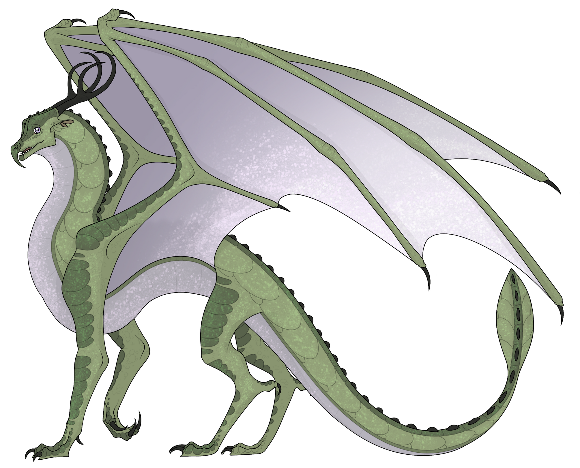 Stonewings